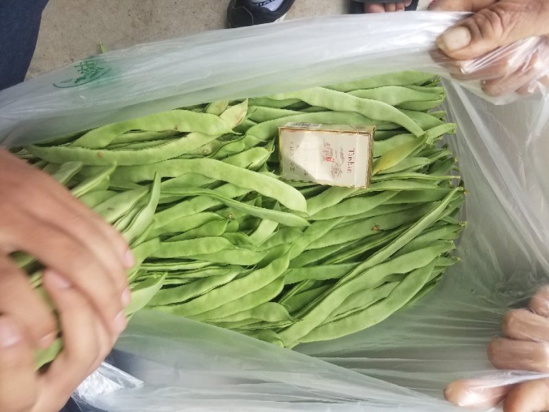 绿扁豆