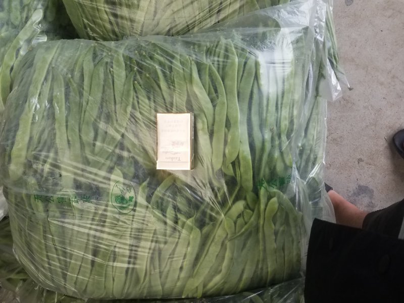 绿扁豆