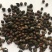 荜澄茄，道地药材，质优价实，品质保证，药典标准，一公斤起