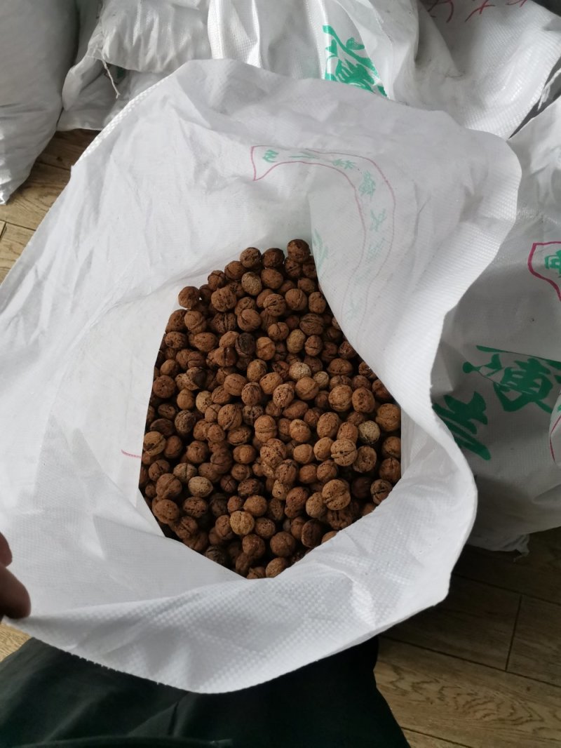 产地直销质量保证包退包换放心购买云南大泡麻核