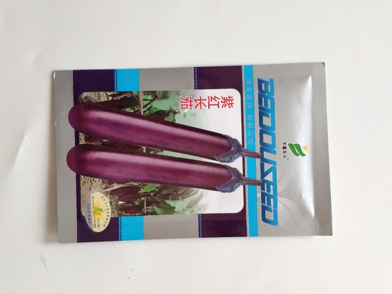 紫红长茄茄子种籽高产耐热茄