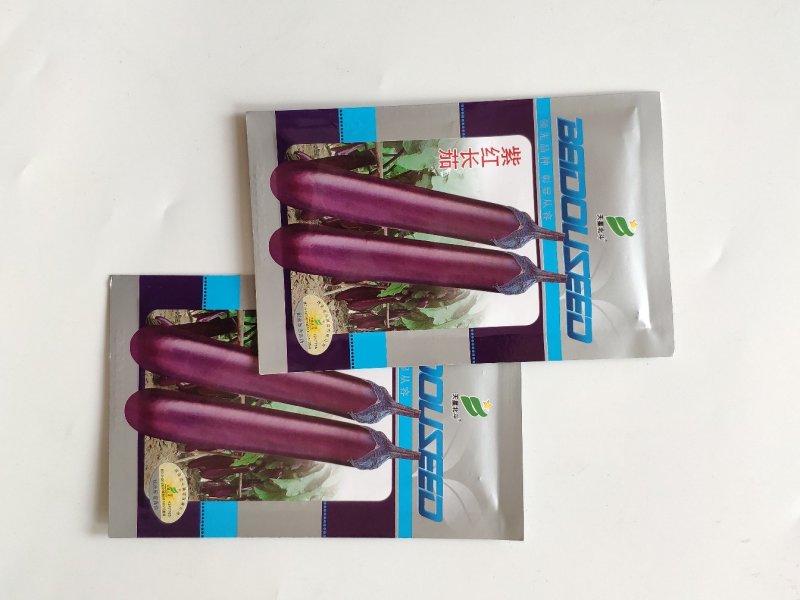 紫红长茄茄子种籽高产耐热茄