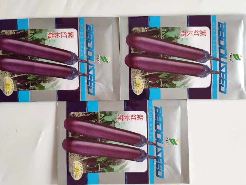 紫红长茄茄子种籽高产耐热茄