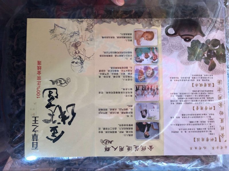 金线莲福建野生金线莲