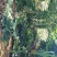 热带水果
