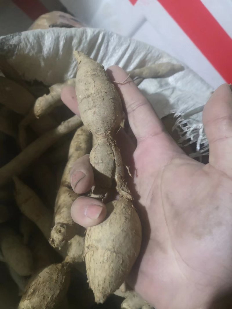 牛大力