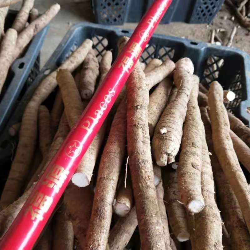 牛大力