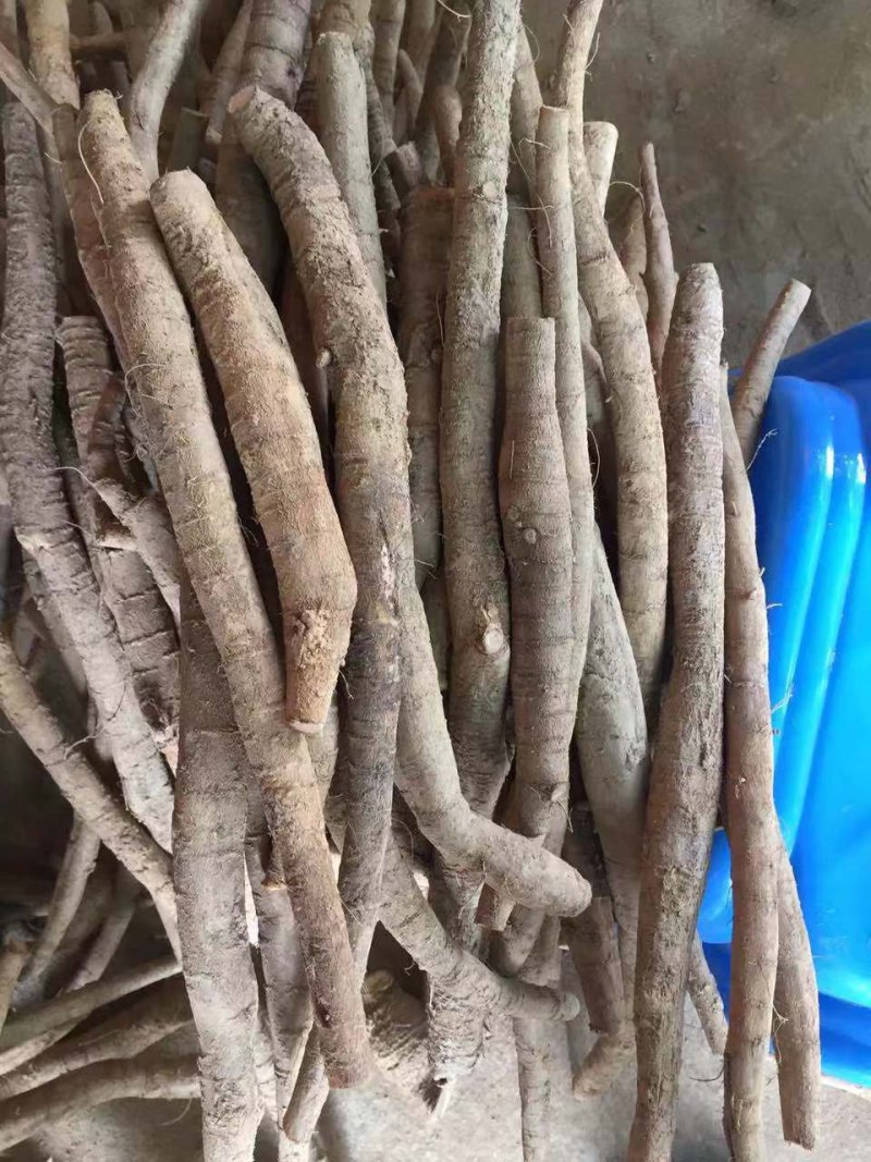 牛大力