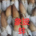象拔蚌质量很好全国各地空运