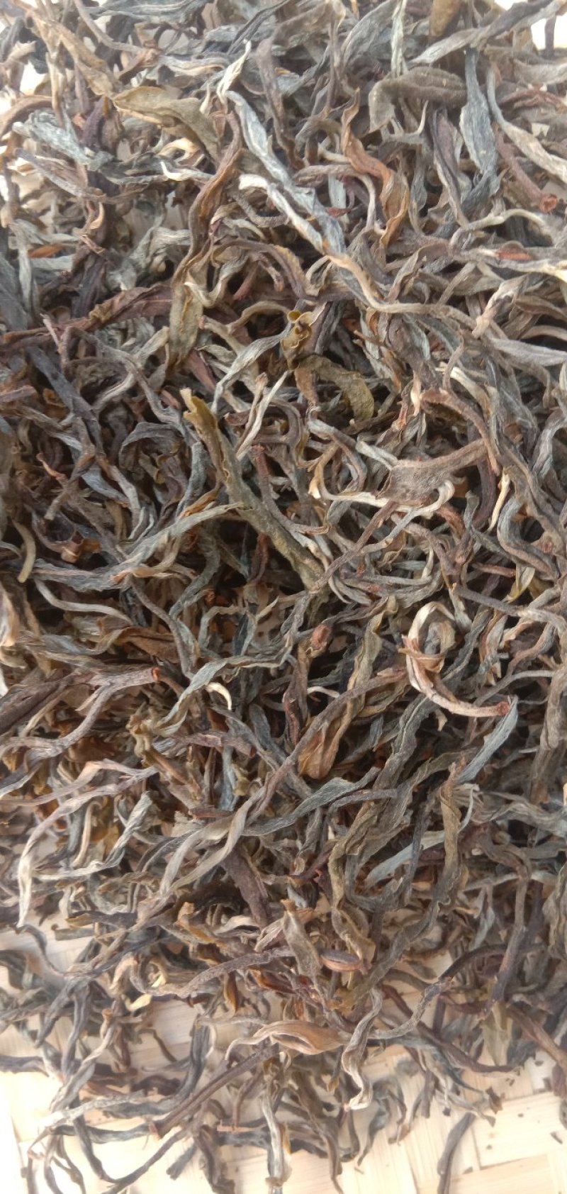 云南省临沧茶区勐库镇南迫村大树生普洱茶