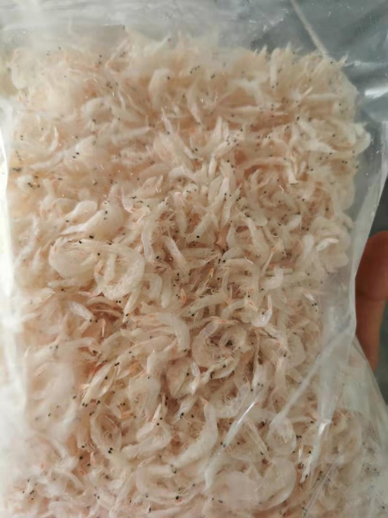 新鲜淡干虾皮