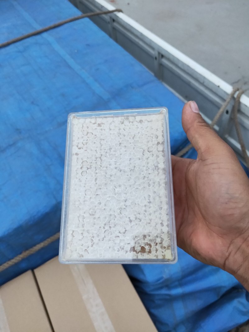 纯天然蜂巢蜜，蜂蜜，蜂王浆