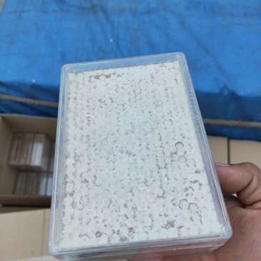 纯天然蜂巢蜜，蜂蜜，蜂王浆