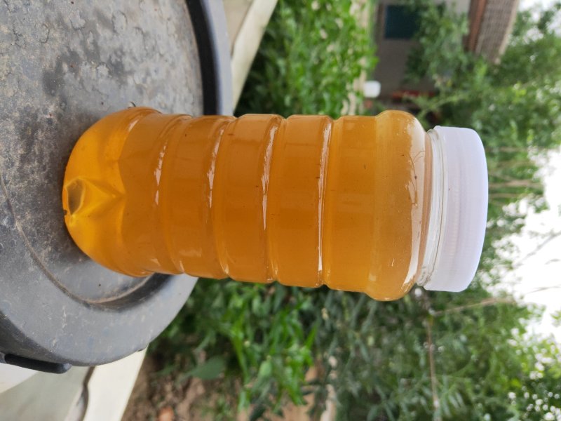 纯天然蜂巢蜜，蜂蜜，蜂王浆