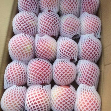 苹果，精品红富士，大量上市