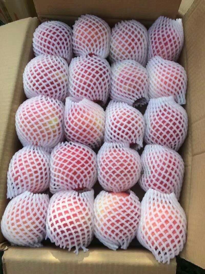 苹果，精品红富士，大量上市