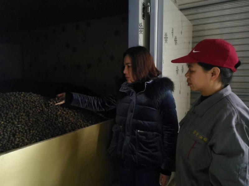油茶籽空气源热泵烘干机厂家直销国标品质