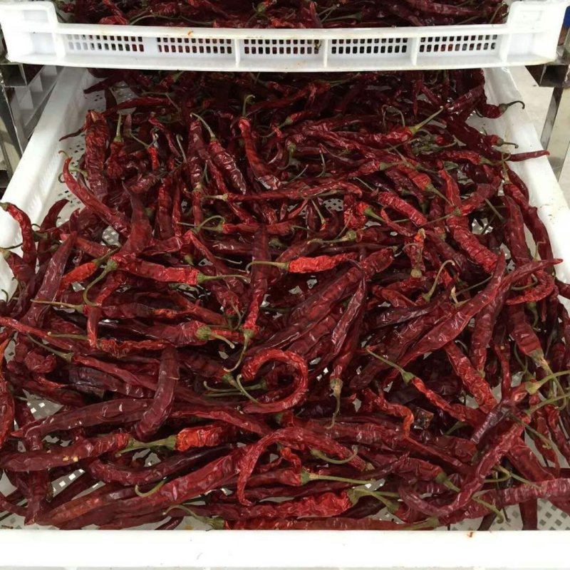 （辣椒热泵烘干设备）果蔬烘干机可定制厂家直销售后保障