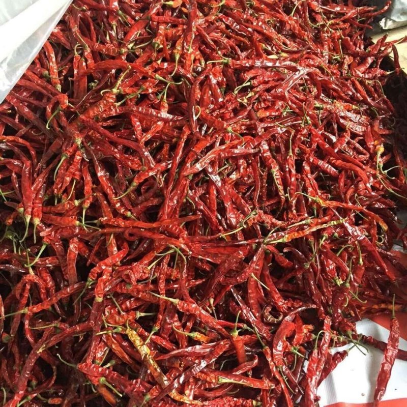 （辣椒热泵烘干设备）果蔬烘干机可定制厂家直销售后保障
