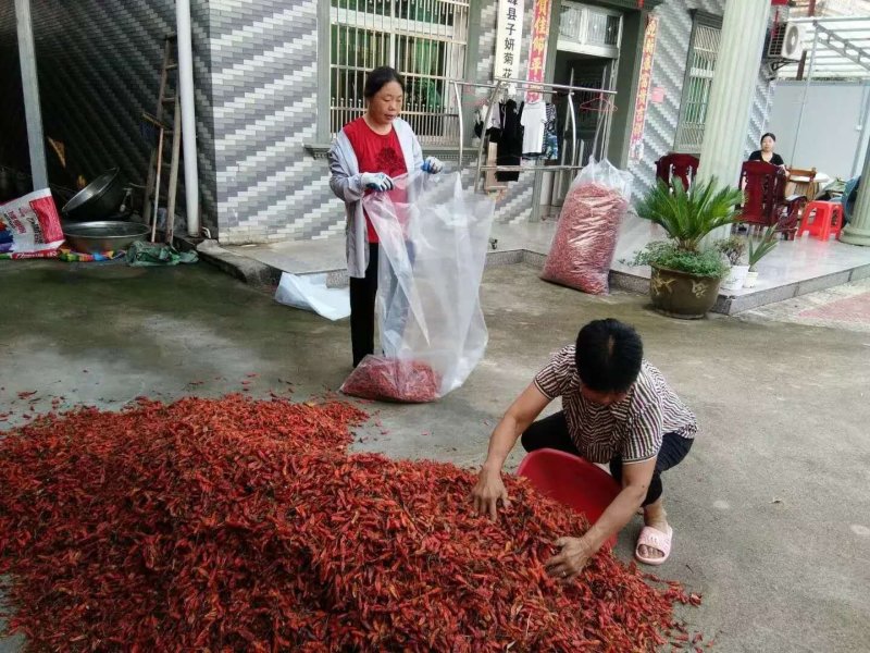 （辣椒热泵烘干设备）果蔬烘干机可定制厂家直销售后保障