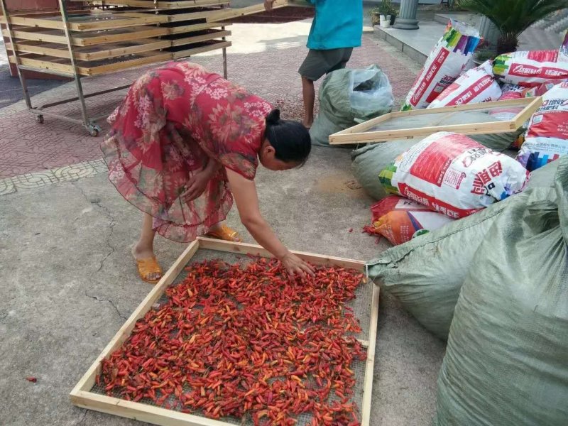 （辣椒热泵烘干设备）果蔬烘干机可定制厂家直销售后保障