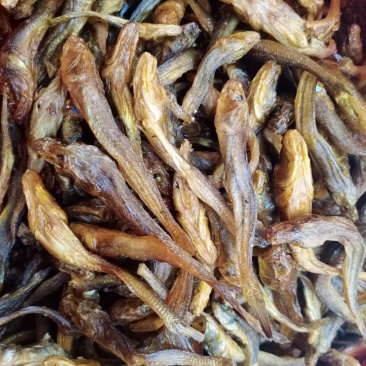 黄鱼，小黄鱼，烟熏烤干鱼干（无胆全是肉）(一手货源)不碎
