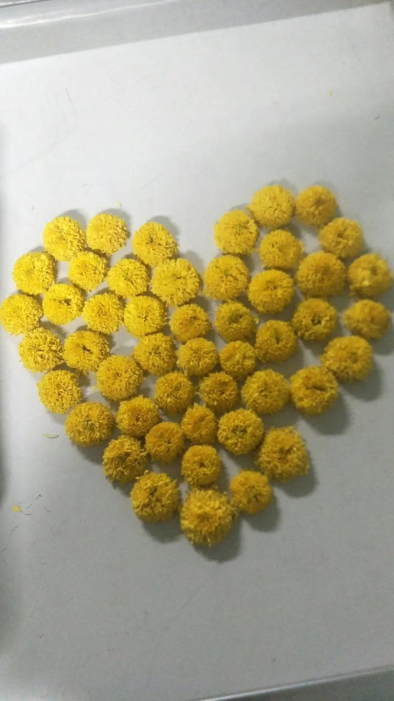 菊花（花类）热泵烘干机设备可定制厂家直销售后保障