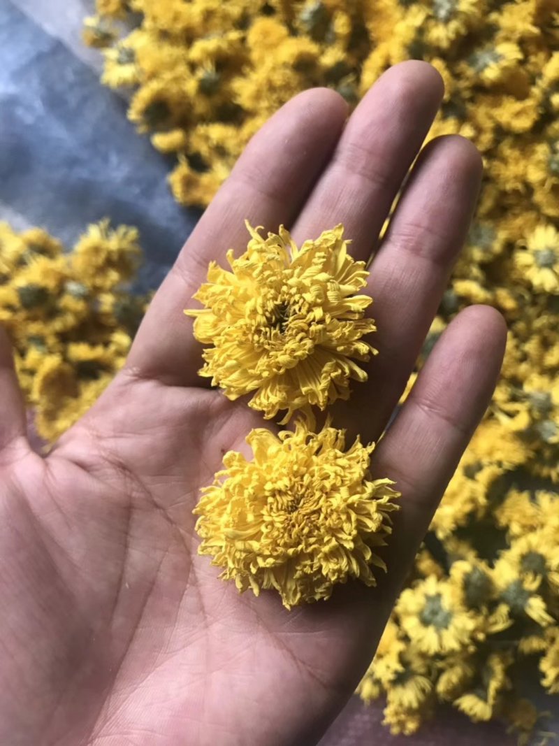 菊花（花类）热泵烘干机设备可定制厂家直销售后保障