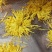 菊花（花类）热泵烘干机设备可定制厂家直销售后保障
