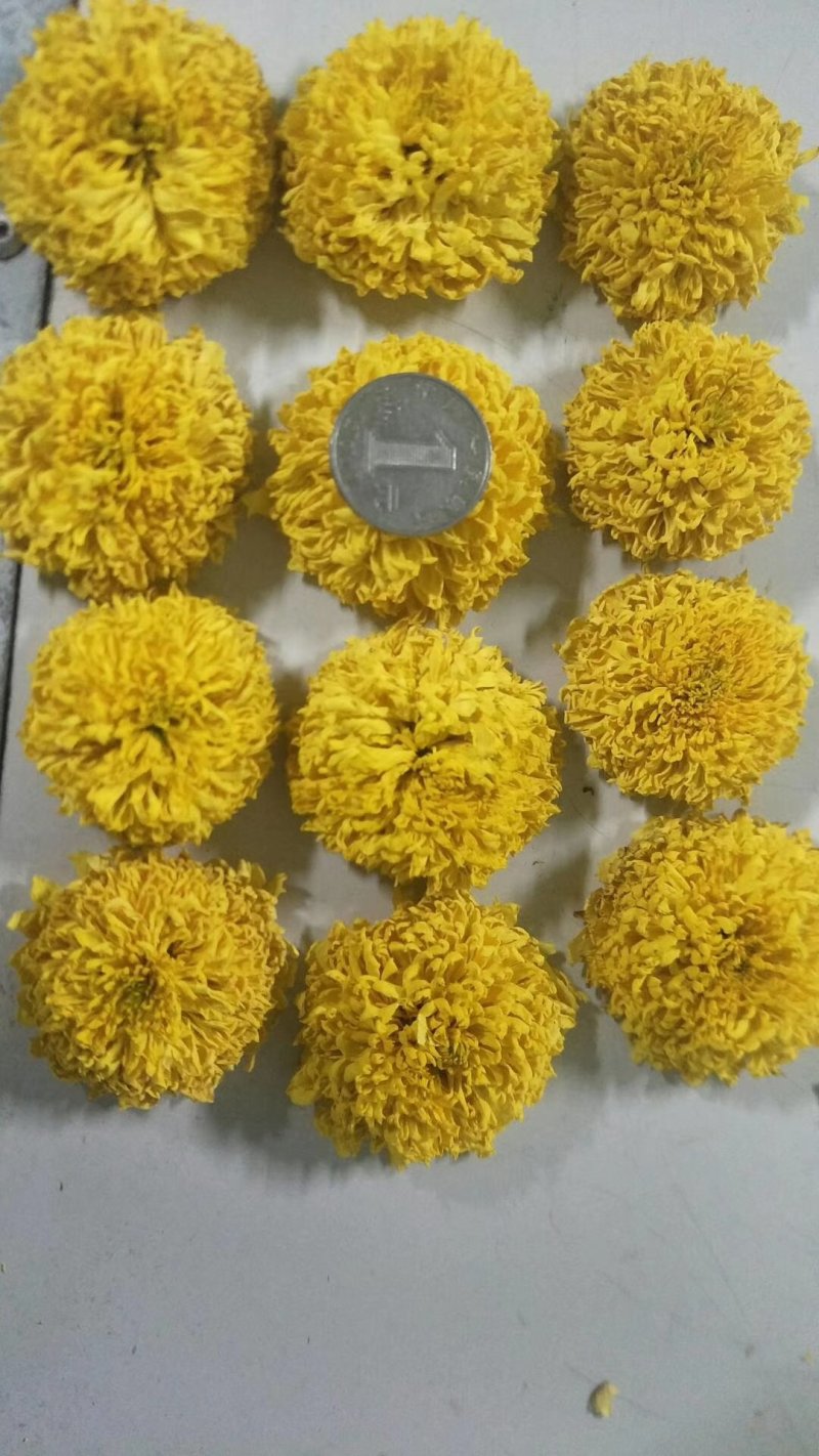 菊花（花类）热泵烘干机设备可定制厂家直销售后保障