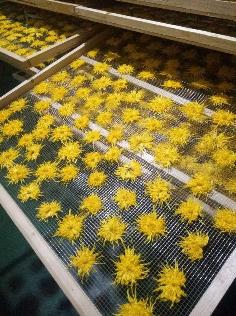 菊花（花类）热泵烘干机设备可定制厂家直销售后保障