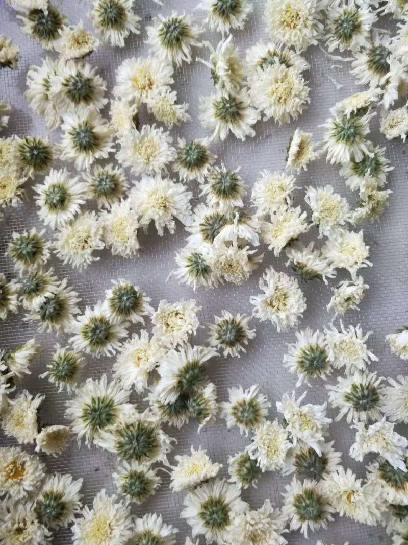 菊花（花类）热泵烘干机设备可定制厂家直销售后保障