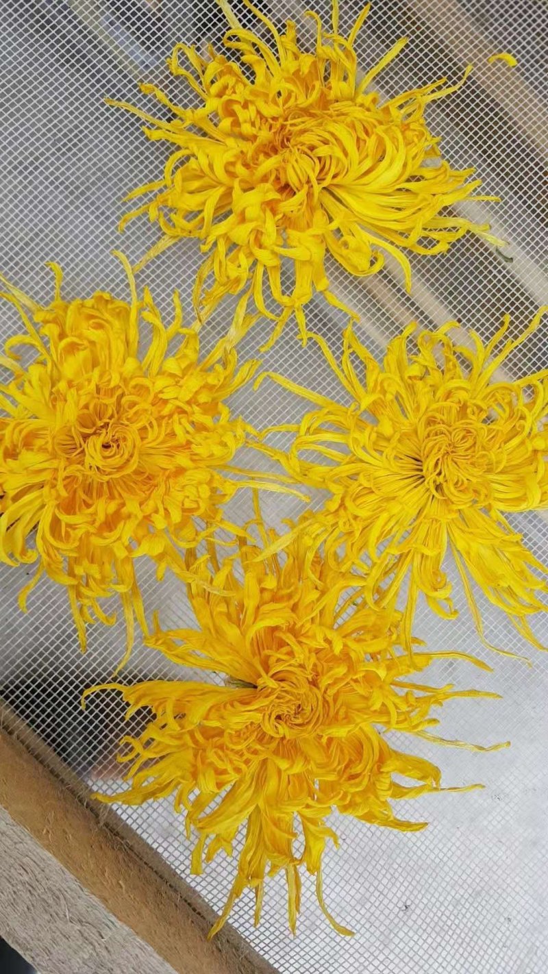 菊花（花类）热泵烘干机设备可定制厂家直销售后保障