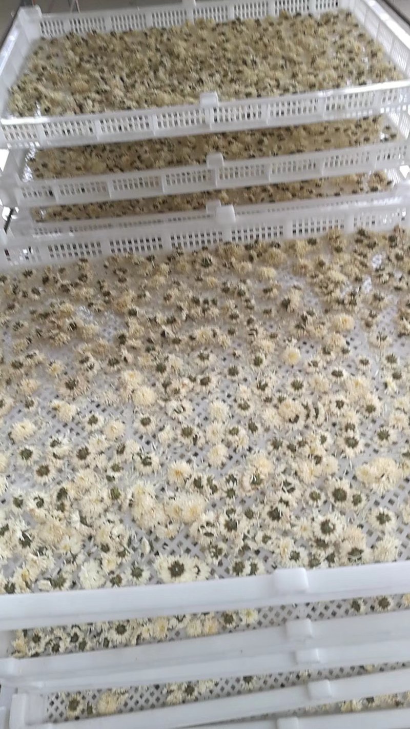 菊花（花类）热泵烘干机设备可定制厂家直销售后保障