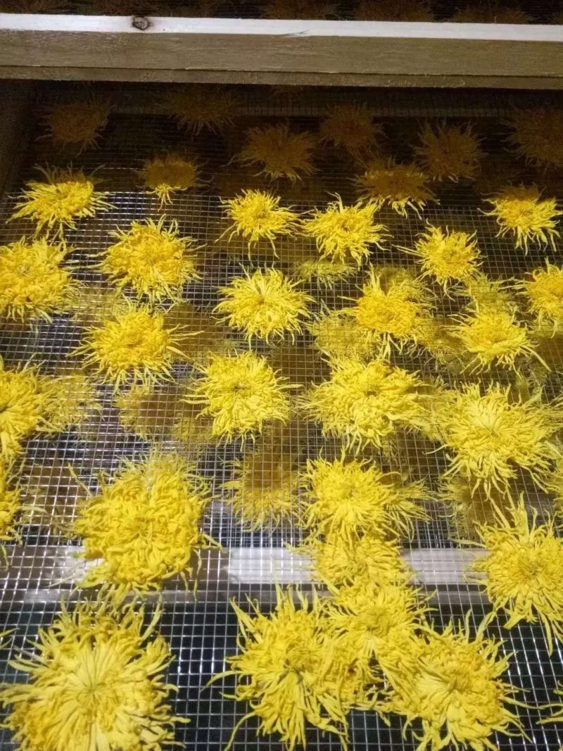 菊花（花类）热泵烘干机设备可定制厂家直销售后保障