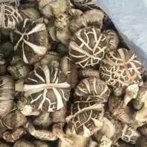 果蔬烘干机菌类热泵烘干机厂家直销售后保障