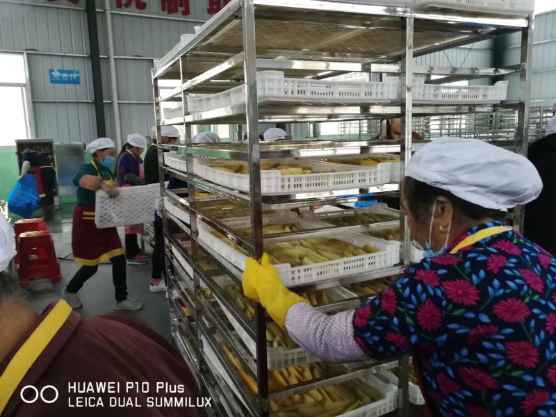 空气源热泵烘干机，倒蒸红薯干厂家直销售后保障