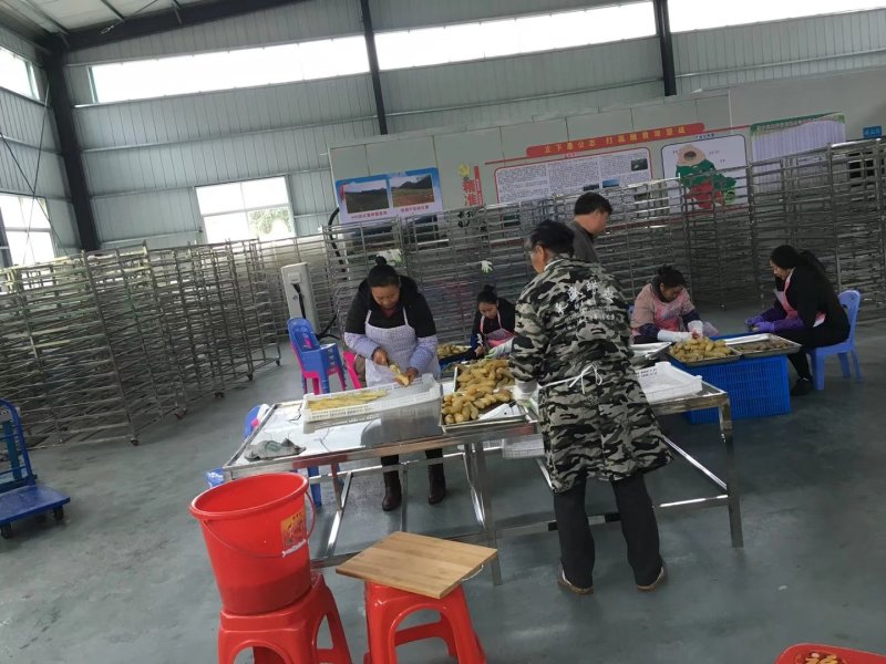 空气源热泵烘干机，倒蒸红薯干厂家直销售后保障