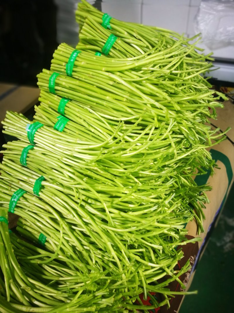 芦篙芦蒿藜蒿泥蒿蒿子2020年新鲜上市特产现货