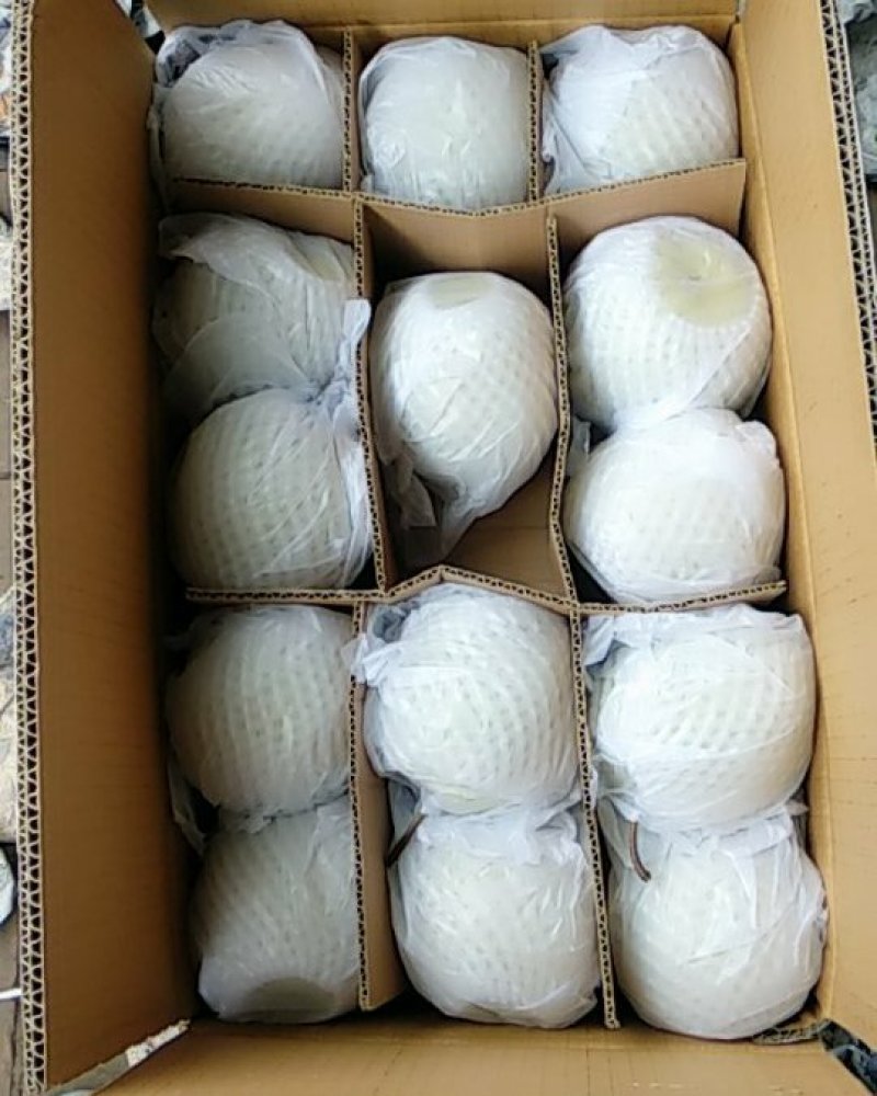 雪花梨，一手货源，赵州特产，口感甘甜，只收一分代收费