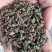 罗布麻茶