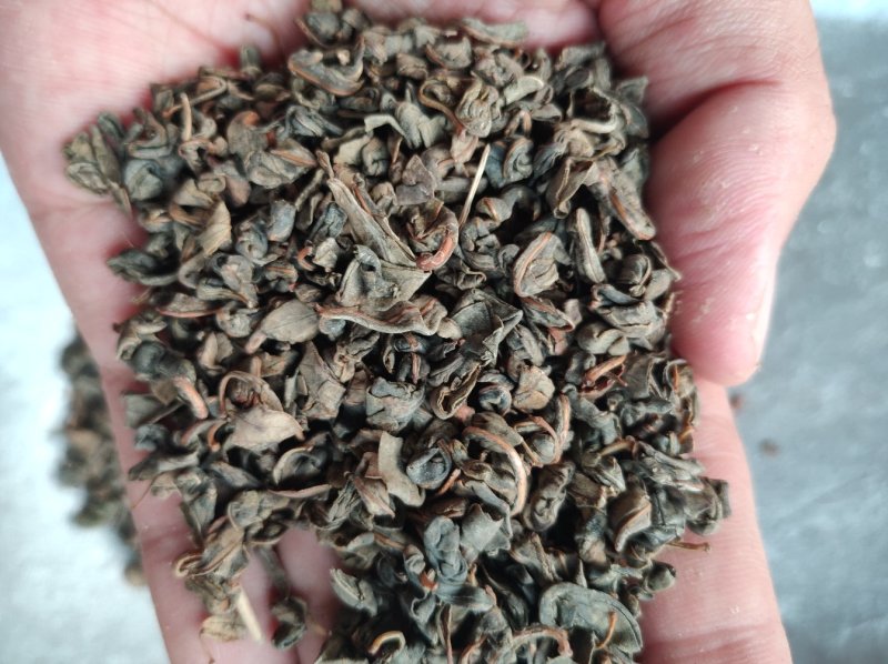 罗布麻茶