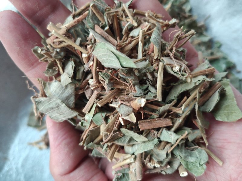 广金钱草