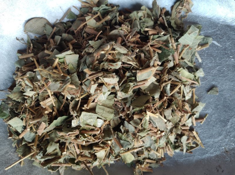广金钱草