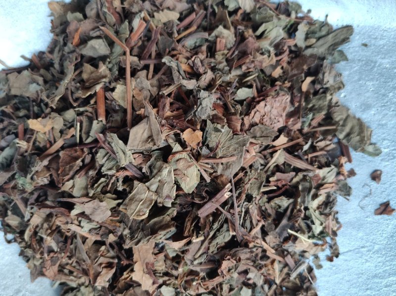 鱼腥草手选切片全草