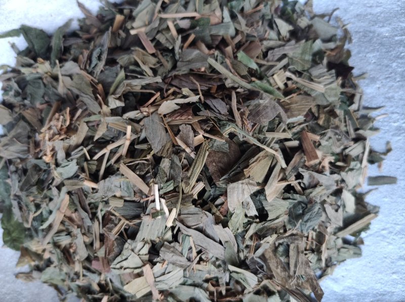 淡竹叶金竹叶今年新货水洗净货