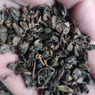 桑叶茶