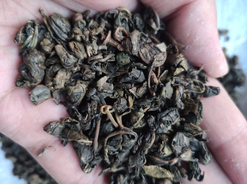 桑叶茶