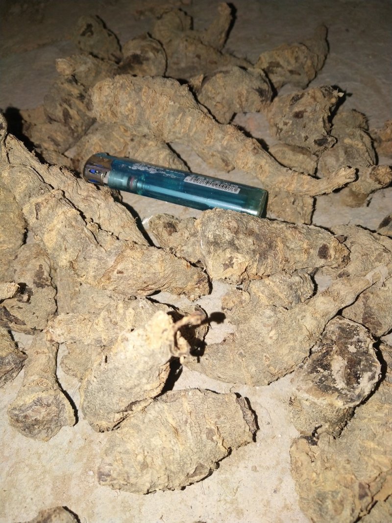 无硫地黄