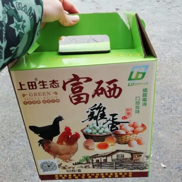 生态放养鸡